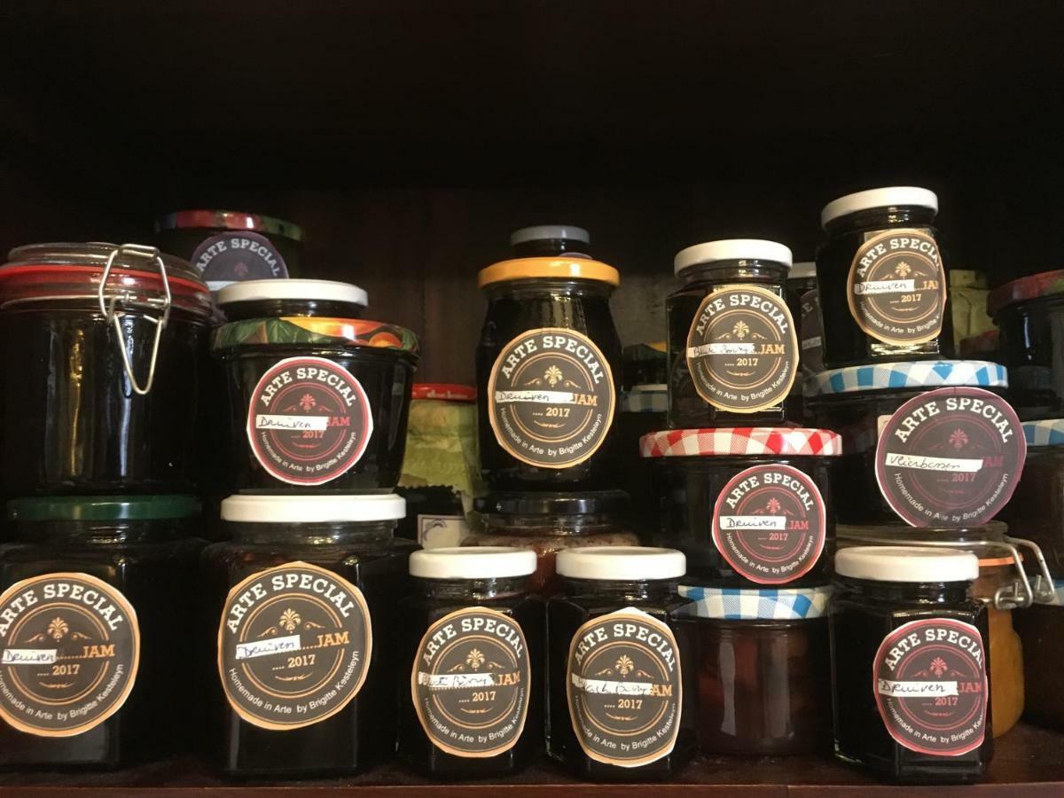 B&B Arte Berlare Εξωτερικό φωτογραφία